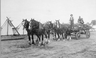 Photograph, Freeland’s Cartage Carriers with horse drawn Vehicles