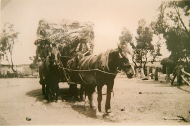 Photograph, Hay Carting on the Mitchell farm at Deep Lead