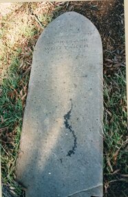 Photograph, Concongella Home Station Cemetery including the grave of Mr John Beard Whittaker 1994 -- 4 Photos -- Coloured