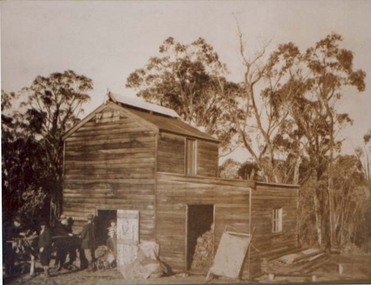 Photograph, Tobacco Curing Barns in Pomonal c1930's