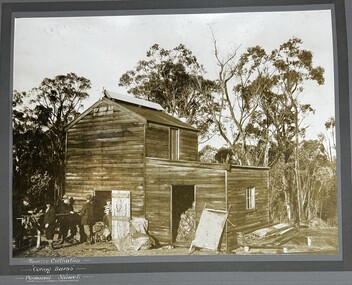 Photograph, Tobacco Curing Barns in Pomonal c1930's