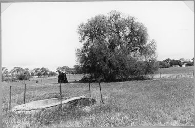 Photograph, Childe Home in Cncongella showing where well was 1994
