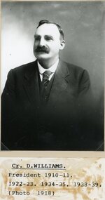Photograph, Cr D Williams -- STAWELL SHIRE COUNCILLORS 1918 -- Studio Portrait