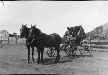 Photograph, Mr Harry Johnston & Mrs Mary Johnston nee Unknown from Grange Farm in a Hooded Buggy & Pair c1930’s
