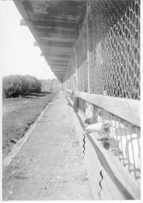 Photograph, Poultry Pens at Bradleys Poultry farm cnr Dawson and Sloane Streets Stawell 1941