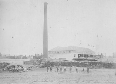 Photograph, The New St George Battery with 42 stamper heads.  1885