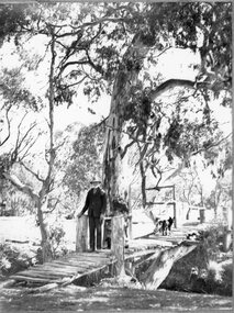 Photograph, Mr Harry Allard from Callawadda in Farm Scenes -- 2 Photos