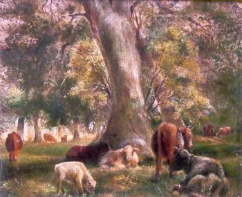 Photograph, Mr Will Rees' Oil Painting "Cattle under trees" 1886