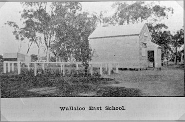 Photograph, Wallaloo East Primary School Number 2698 c1920s