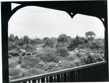 Photograph, “White Gums” Nursery on Old Glenorchy Road