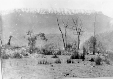 Photograph, Mafeking Goldfield at Mt William with Snow capped mountains c1900