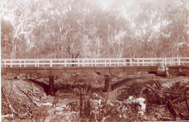 Photograph, Mokepilly Bridge 1908 -- Postcard