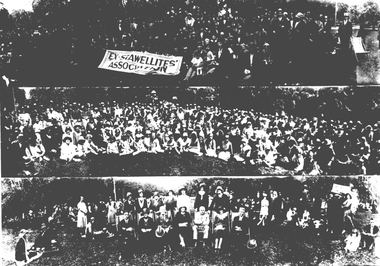 Photograph, Ex - Stawellites in the Fitzroy Gardens 1931-1932 -- 3 Photos