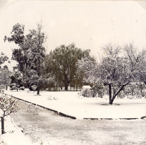 Photograph, North Western Woollen Mills -- Snow Scene 1981-- 2 Photos