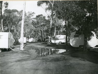 Photograph, Grampians Gate Caravan Park with caravans 1940's