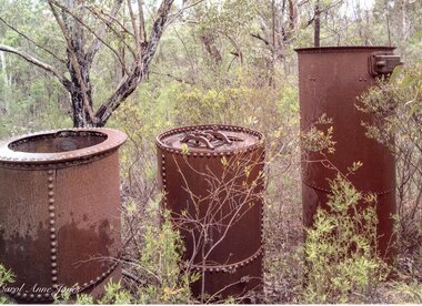 Photograph, Mr Gerald Rowes Charcoal Burning Plant in Pomonal -- Coloured