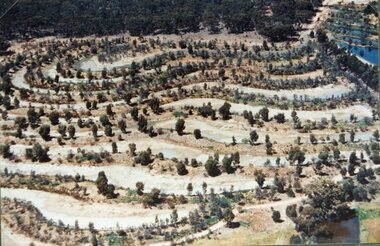 Photograph, Stawell Gold Mines' Evaporation Ponds & Vegetation Restoration -- 2 photos -- Coloured