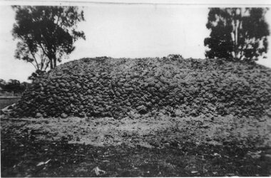 Photograph, Charcoal Burning in Fyans Creek area