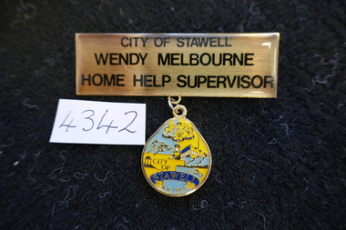 Memorabilia - Badge, 1989