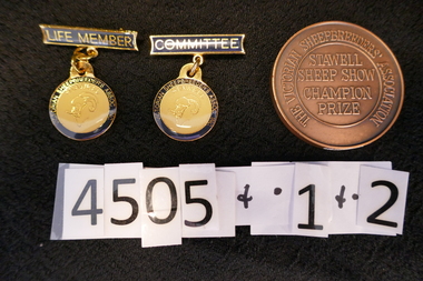 Memorabilia - Badge