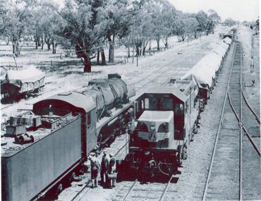 Photograph, Trains at Glenorchy