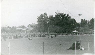 Photograph, Central Park Easter Gift c1950's