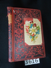 Book, William P. Nimmo & Co, Experience Teaches - Previously Cat No 3616, 1882
