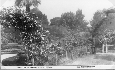 Photograph, Central Park Gardens