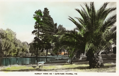 Photograph, Cato Lake -- with palms & trees -- Coloured