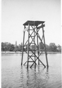 Photograph, Cato Lake diving platform