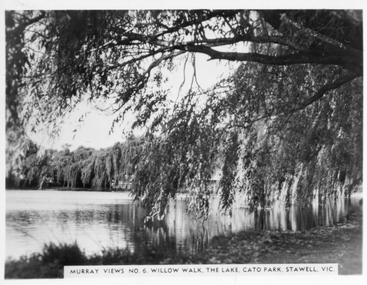 Photograph, Cato Lake -- Willow Walk
