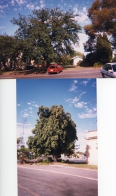Photograph, Stawell Shire Hall -- 1 Photo 1999 & 2 Photos 2011 -- Coloured