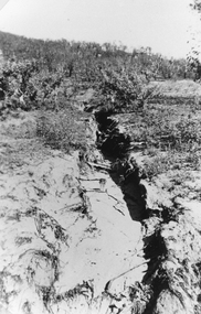 Photograph, Bushfire Damage showing Soil Erosion 1939