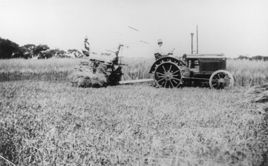Photograph, Mr E Altmann and son Mr R Altmann harvesting Oaten Hay c1940