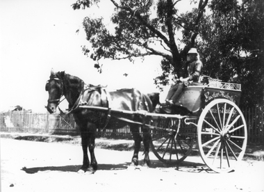 Photograph, Mr Gustav Mahnke’s Bakery horse drawn delivery cart with driver, 1920 1923