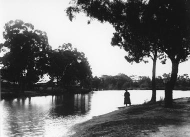 Photograph, Botanical Reserve in Stawell West