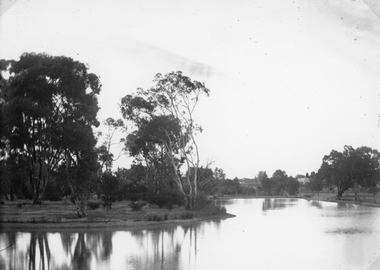 Photograph, Botanical Reserve in Stawell West Looking East