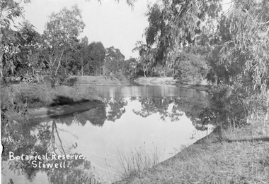 Photograph, Botanical Reserve in Stawell West