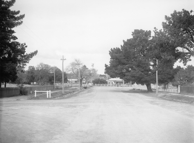Photograph, Clifton Avenue looking towards Barnes Street