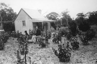 Photograph, Mr Joseph Jennings in his garden
