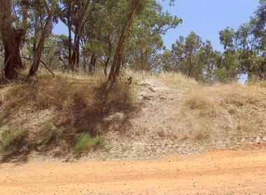 Photograph, Dunmunkle Creek  where it originally connected to Wimmera River 2017 -- Coloured