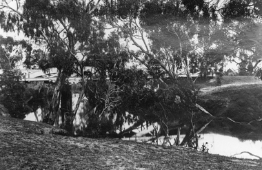 Photograph, Bridge over Wimmera River at Glenorchy