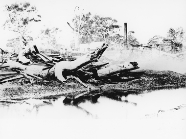 Photograph, Bush Sawmill beside the Wimmera River in Dunolly 1993