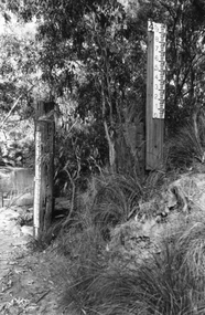 Photograph, Timber poles with gauges to measure river height