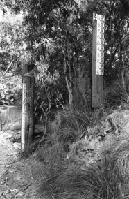 Photograph, Timber poles with gauges to measure river height