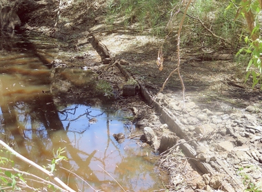Photograph, Old Glenorchy Weir Remains 2017 -- Coloured