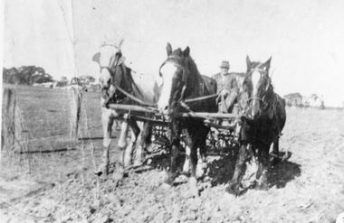 Photograph, Horse drawn plough