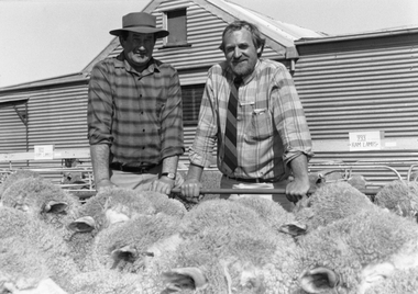 Photograph, Marnoo Field Day & Sale 1991