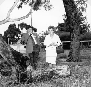 Photograph, Concongella State School Number 1136 Reunion 1972