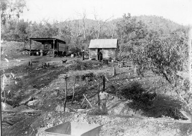 Photograph, Telford Mining activity with a Slab shed and work area in the Bushland c1902
